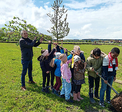 Das Umweltamt informiert – Puchheim pflanzt Baum des Jahres